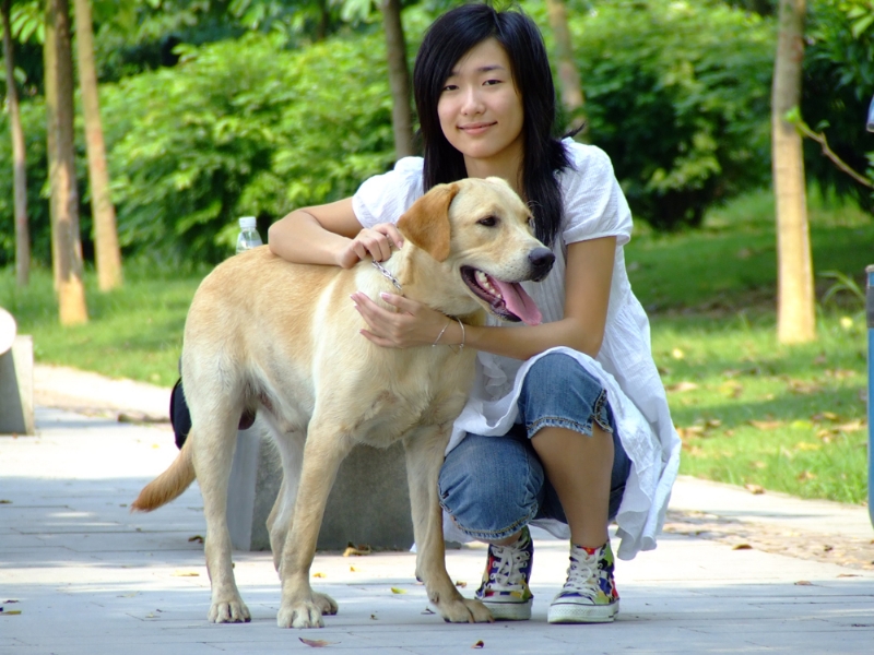 风中的绿叶的第一张照片--哈尔滨相亲服务中心