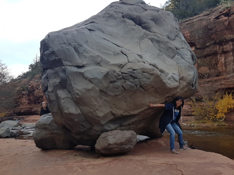 Apple的第一张照片--哈尔滨相亲服务中心