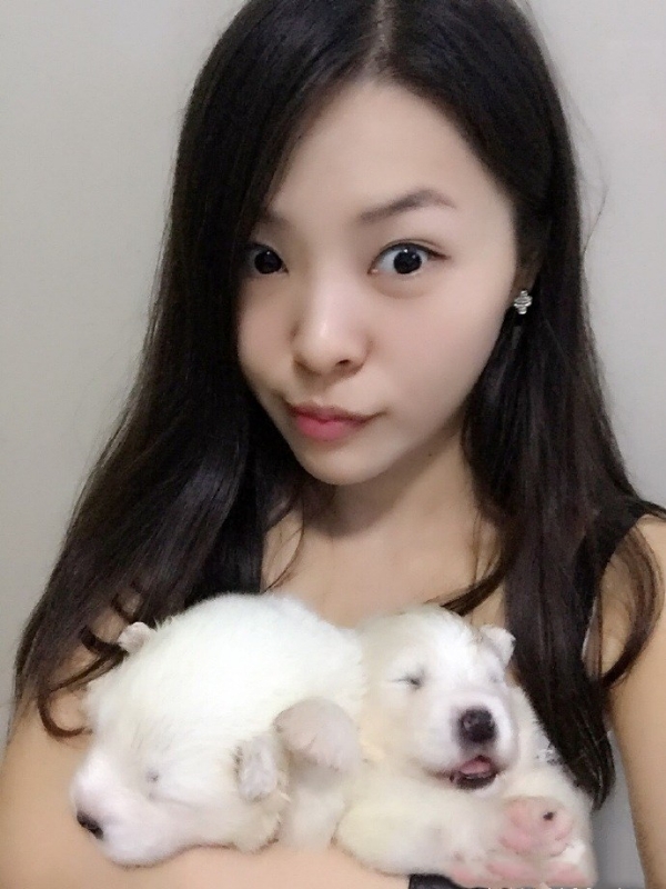 如果可以的第三张照片--哈尔滨相亲服务中心