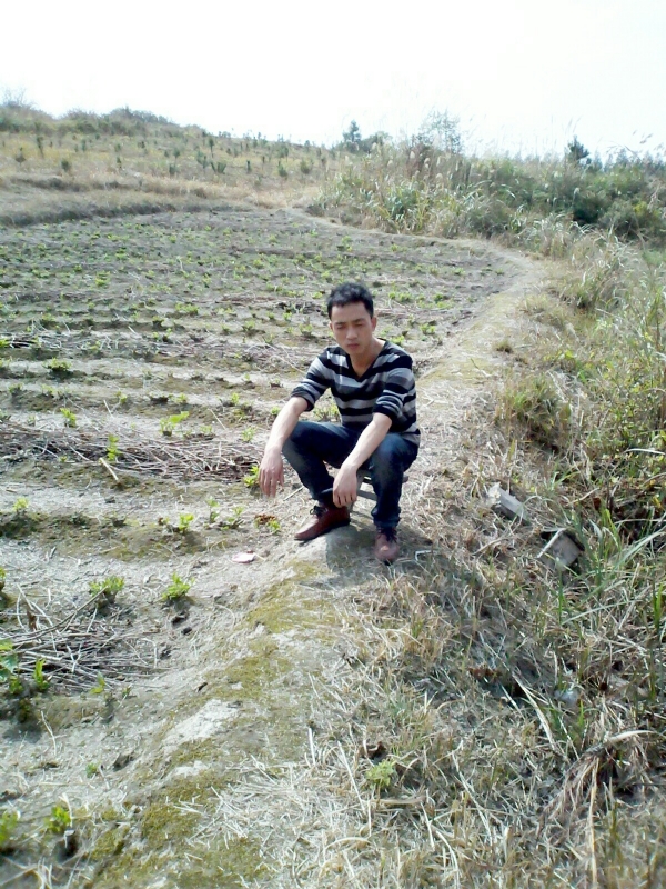 你好的第一张照片--哈尔滨相亲服务中心