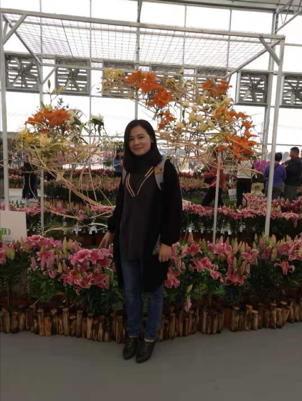 紫苏的第二张照片--哈尔滨相亲服务中心