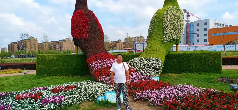 尘埃的第一张照片--哈尔滨相亲服务中心