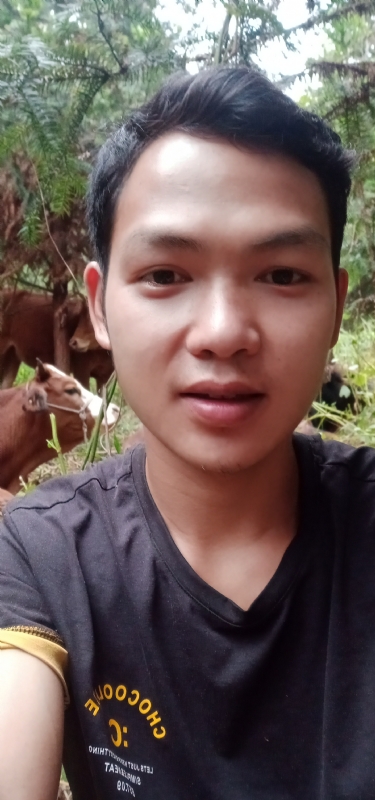 等AI的第一张照片--哈尔滨相亲服务中心