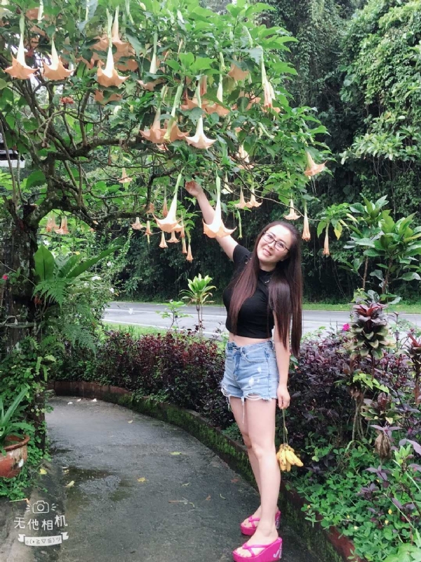 离异单身无子的第二张照片--哈尔滨相亲服务中心