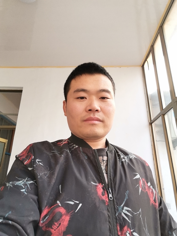 会飞的猪的第一张照片--哈尔滨相亲服务中心