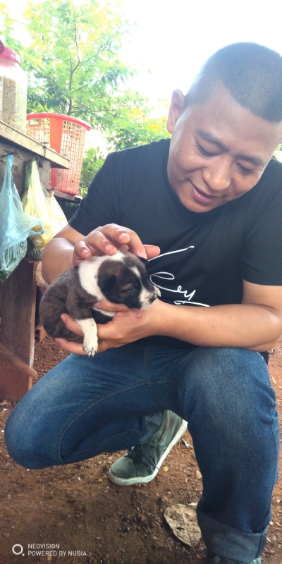 深圳相亲的第一张照片--哈尔滨相亲服务中心