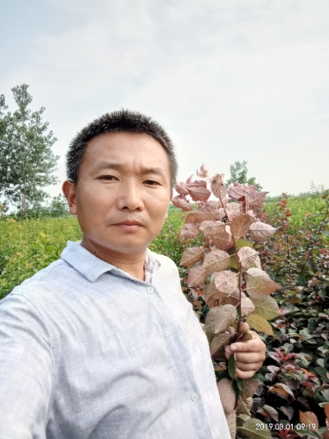 孩子爸的第一张照片--哈尔滨相亲服务中心