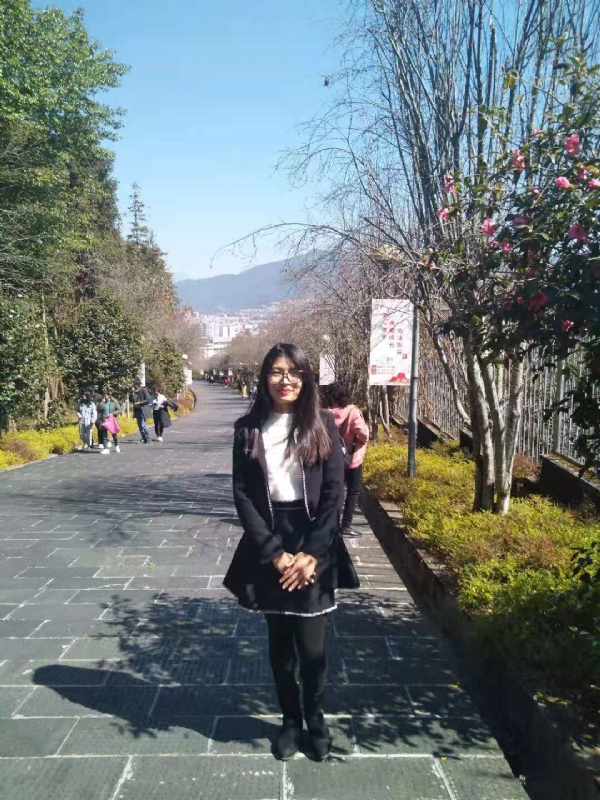 窗台上的桔梗的第一张照片--哈尔滨相亲服务中心