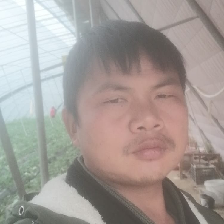 孤狼‘的第一张照片--哈尔滨相亲服务中心