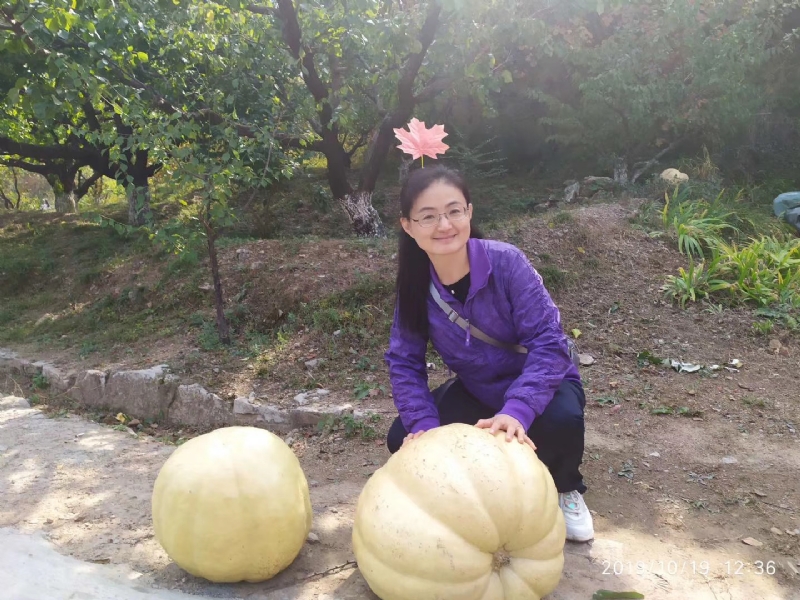 海绵宝宝的第一张照片--哈尔滨相亲服务中心