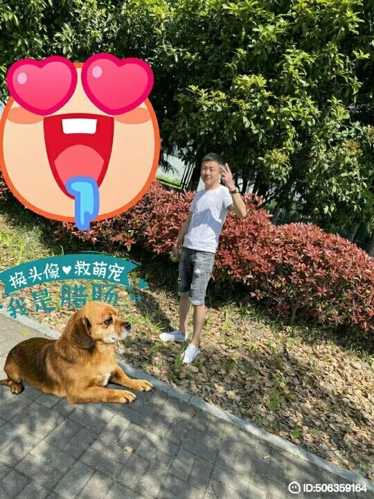 我若不坚强谁替我勇敢的第五张照片--哈尔滨相亲服务中心