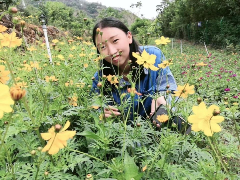 哈哈的第一张照片--哈尔滨相亲服务中心