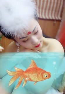 清风恋百合的第三张照片--哈尔滨相亲服务中心