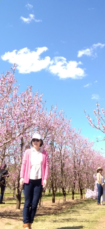 Grace的第二张照片--哈尔滨相亲服务中心