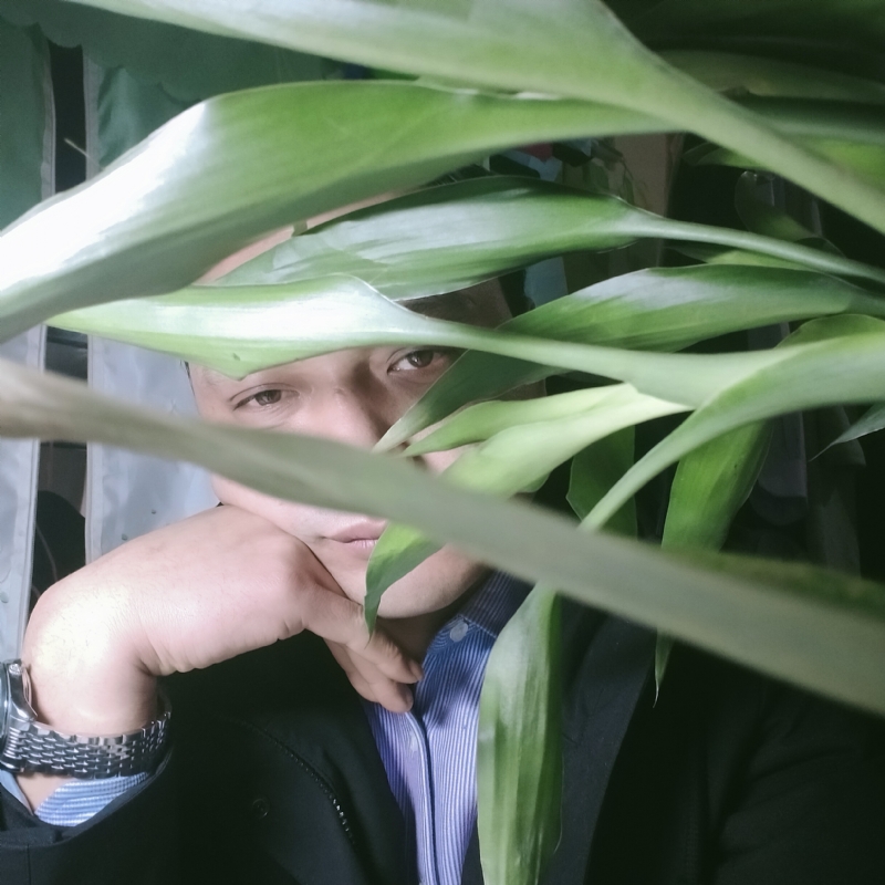 诸先生的第二张照片--哈尔滨相亲服务中心