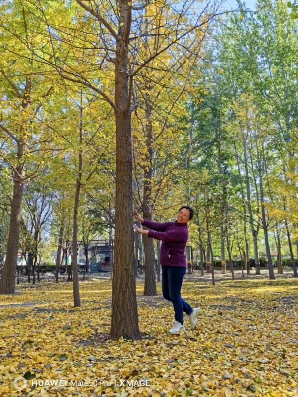 Shirley的第四张照片--哈尔滨相亲服务中心