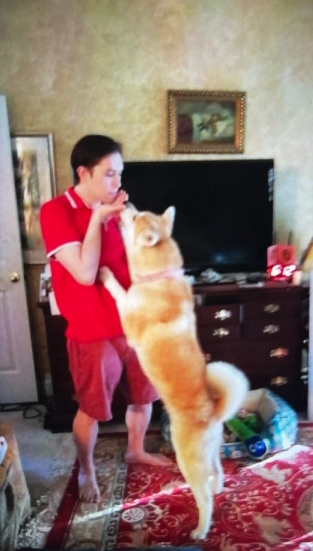 Leluch的第一张照片--哈尔滨相亲服务中心