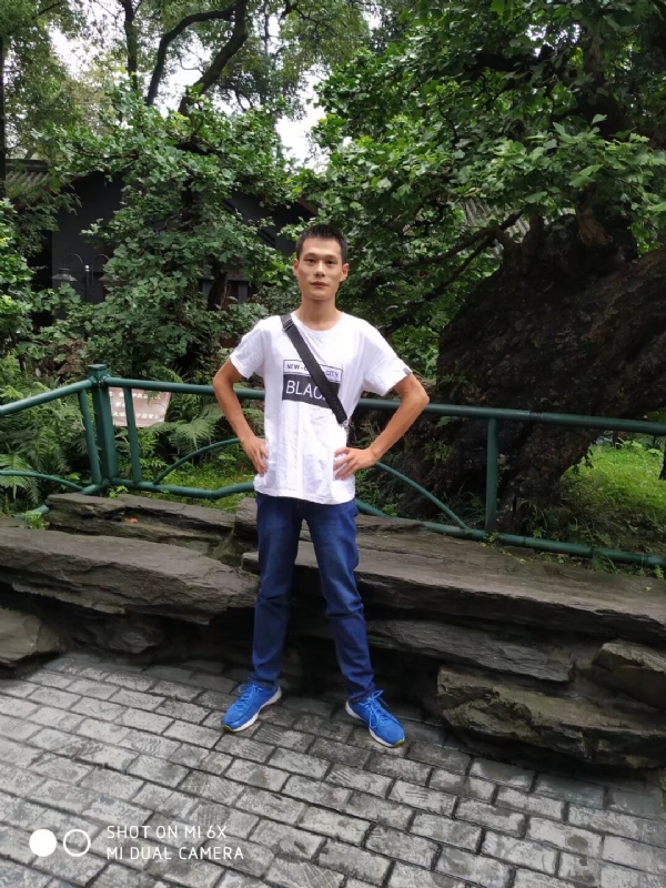 会飞的猪的第一张照片--哈尔滨相亲服务中心