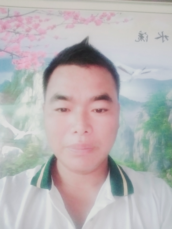 阳光男孩的第二张照片--哈尔滨相亲服务中心