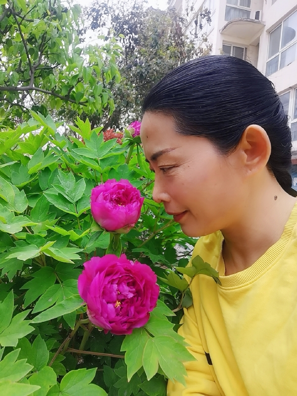 厚德载物的第一张照片--哈尔滨相亲服务中心