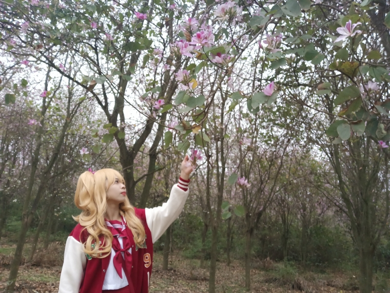 暮秋的第二张照片--哈尔滨相亲服务中心