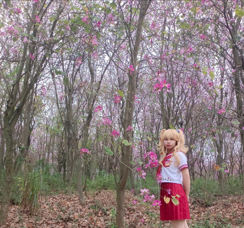 暮秋的第四张照片--哈尔滨相亲服务中心