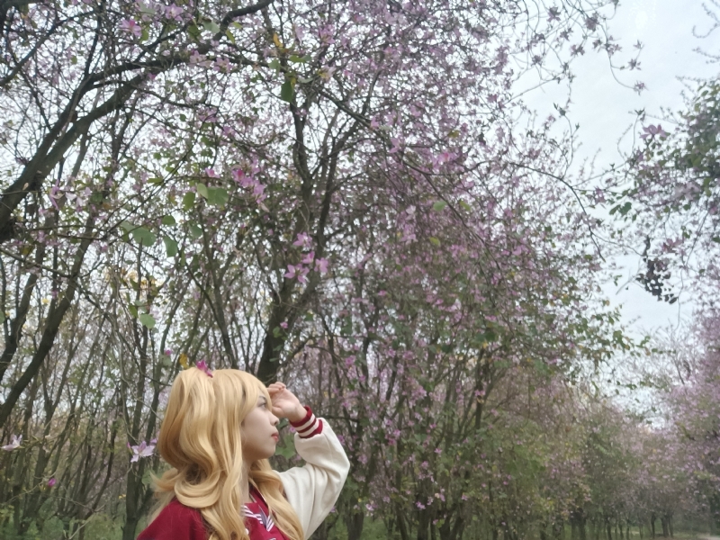 暮秋的第五张照片--哈尔滨相亲服务中心