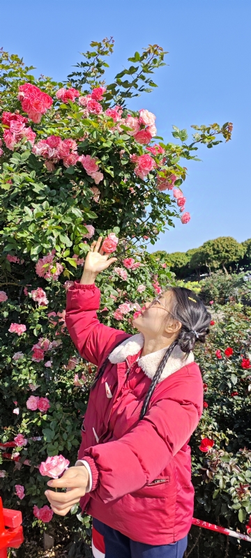 狗狗的第一张照片--哈尔滨相亲服务中心