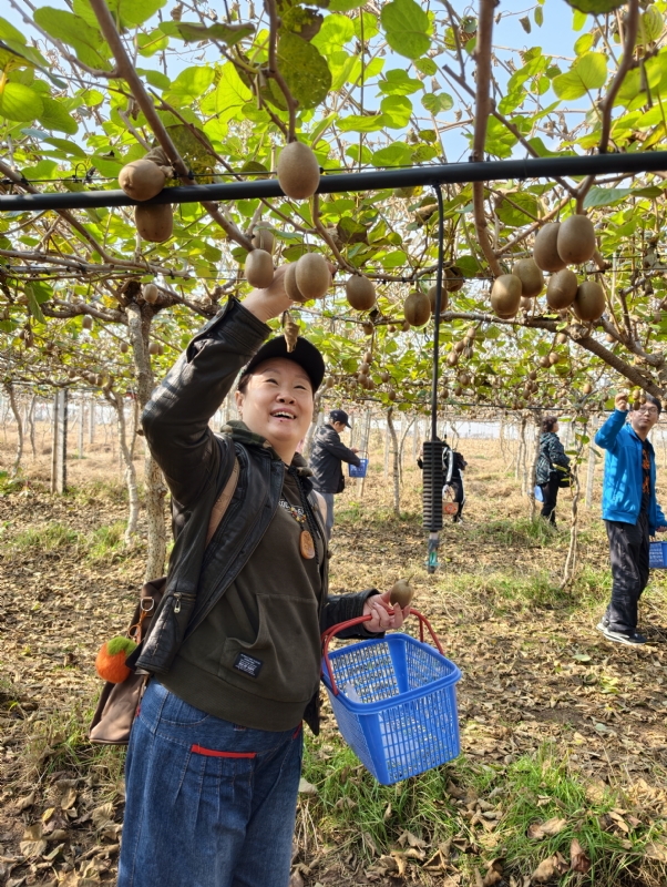 夜莺的第三张照片--哈尔滨相亲服务中心
